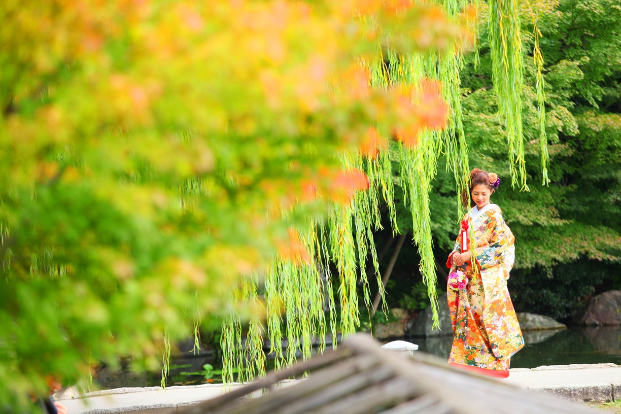 柳の長い枝越しに佇む色打掛姿の花嫁。やわらかな新緑に包まれた庭園の和装フォトウェディング
