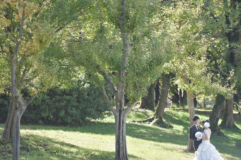 明るい芝生と木立の中に立つウェディングドレスの花嫁とタキシードの新郎。公園で撮る洋装前撮り