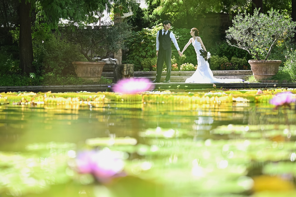 ピンクの花が浮かぶ池の向こうで手を取り合う花嫁と新郎。水鏡のような水面が涼しげなフラリエのロケーションフォト