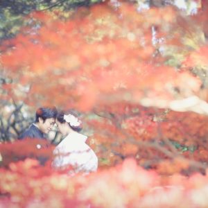 キレイな紅葉の中撮影したウェディングフォト