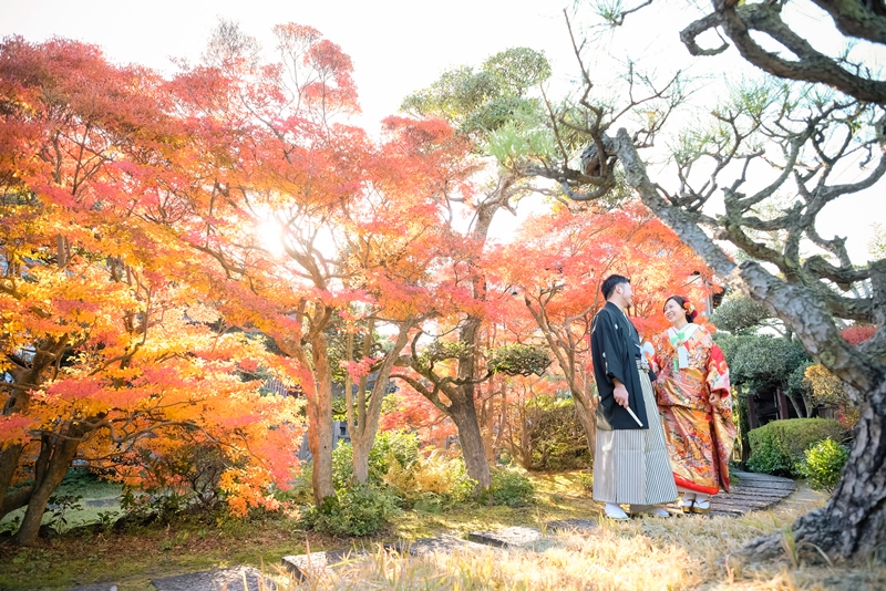 紅葉の木がキレイな和装写真