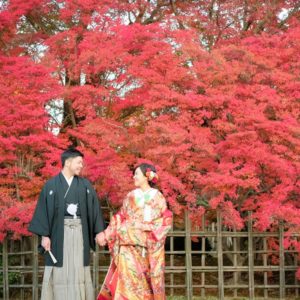 真っ赤な紅葉と和装を着た夫婦