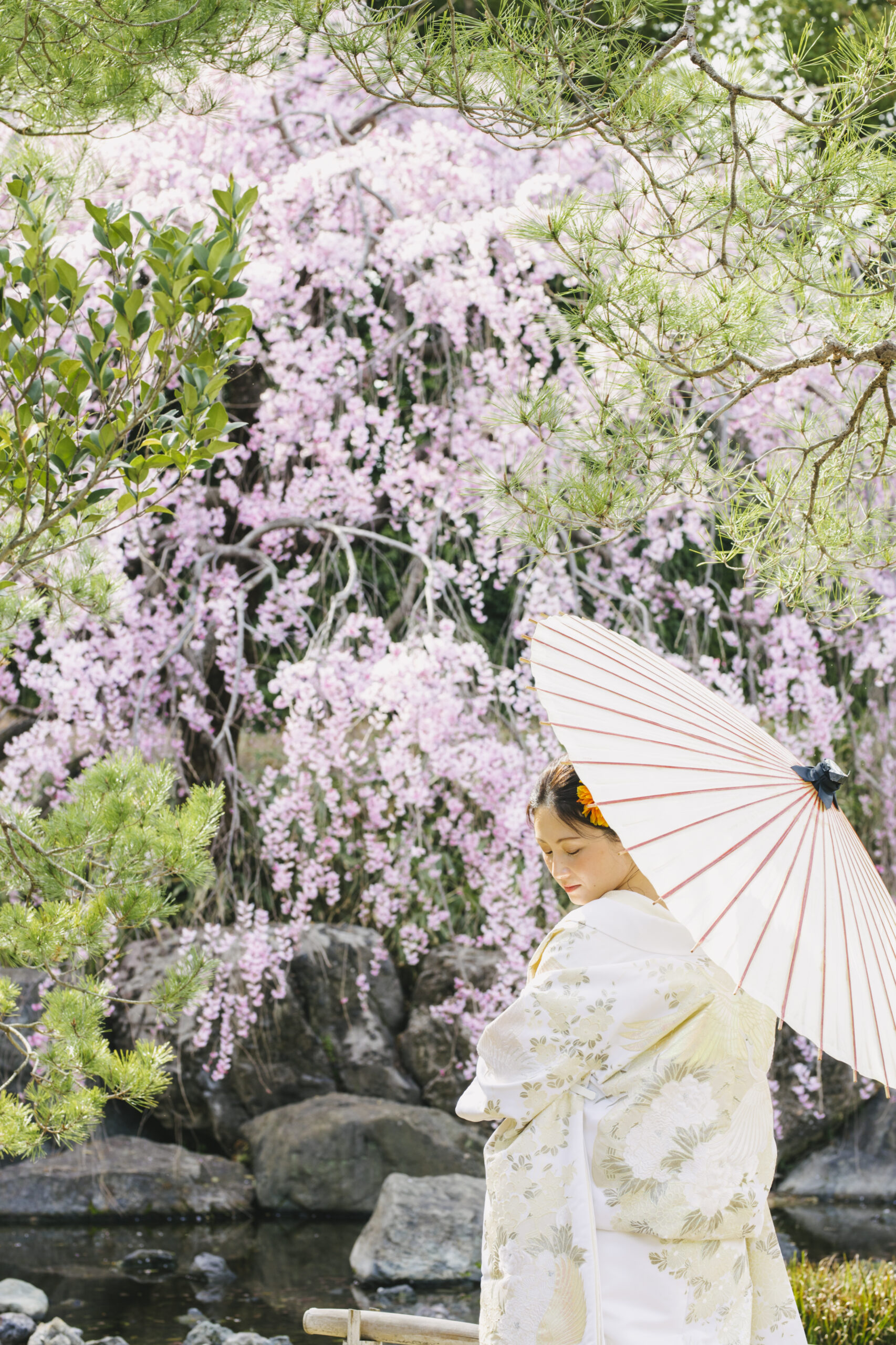 白鳥庭園での桜フォト