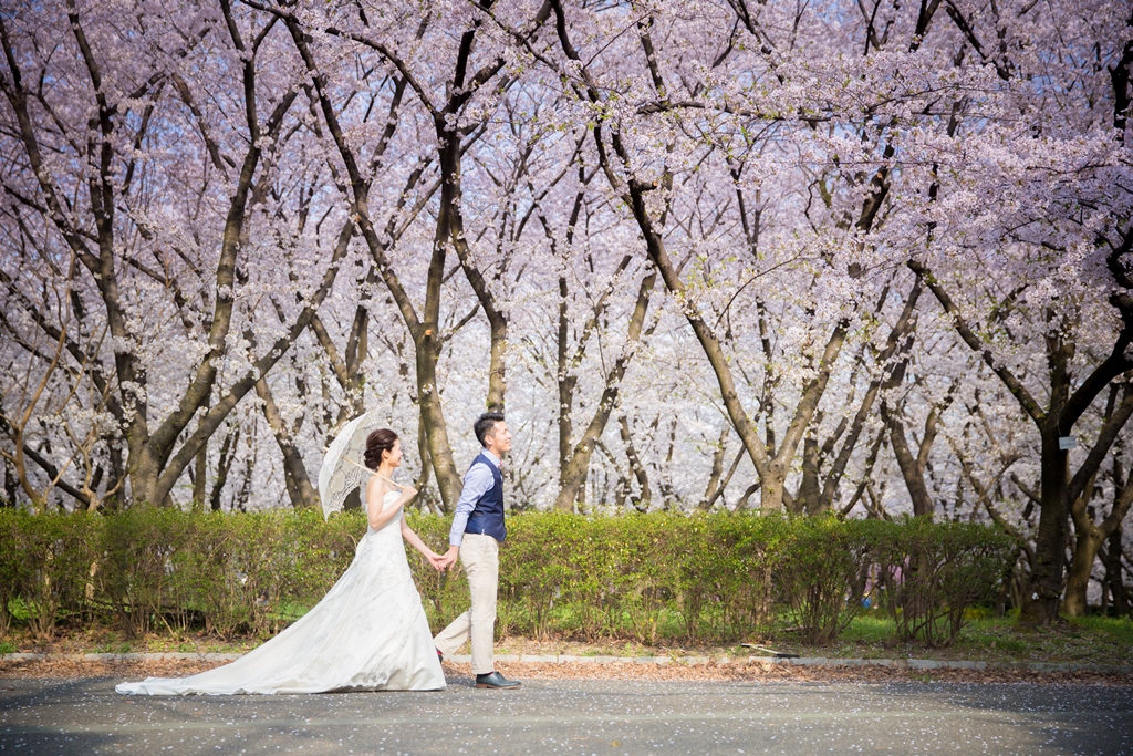 桜並木の前を散歩