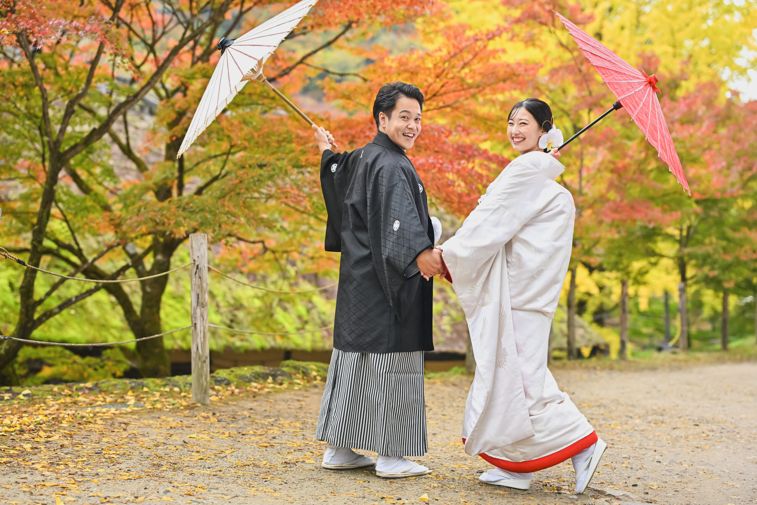 銀杏の黄葉を背に和傘を差して歩く白無垢の花嫁と紋付袴の新郎。秋の和装前撮りらしい一枚