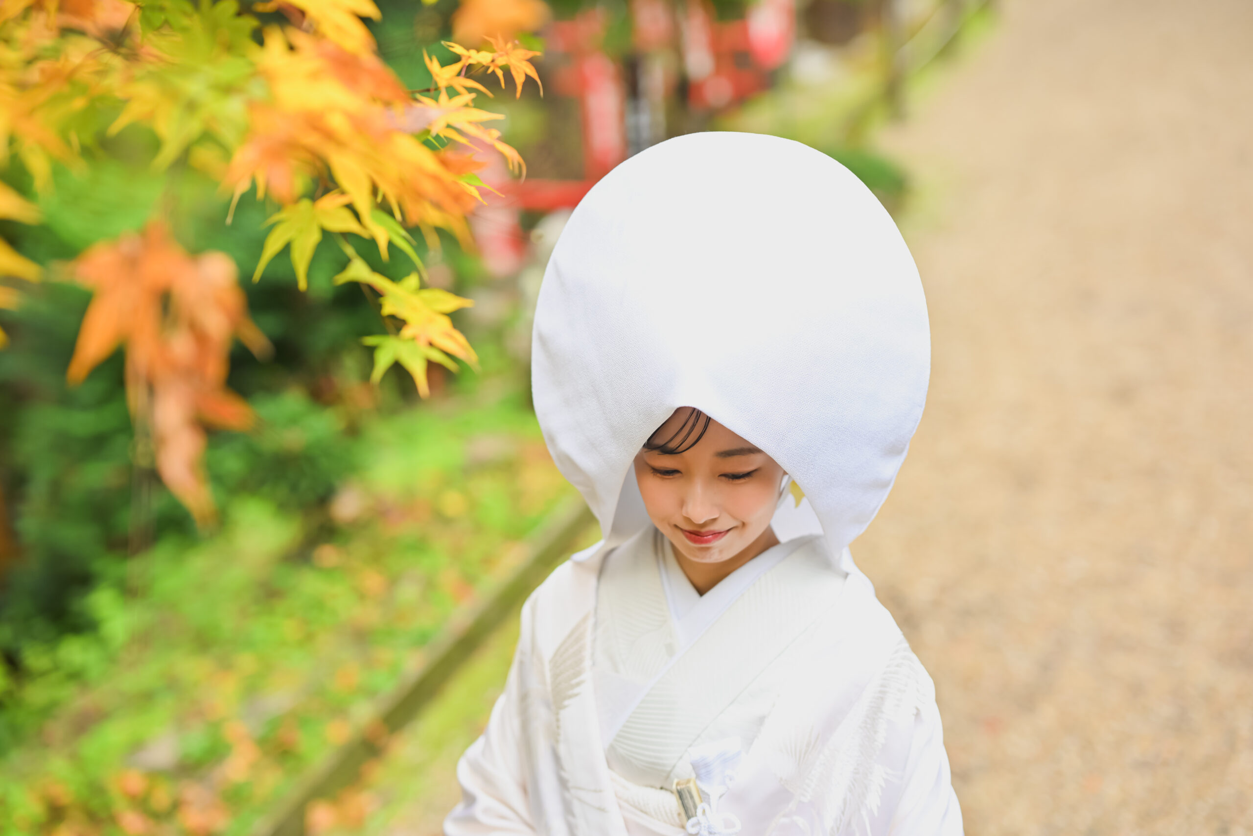 色づいたもみじを背に微笑む綿帽子姿の花嫁の横顔。紅葉シーズンの和装フォトウェディング