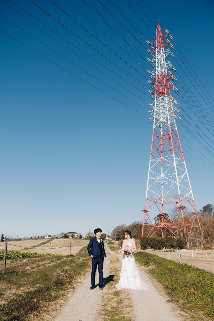季節の花畑と空が広がる風景