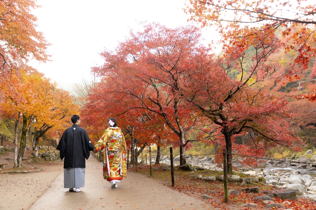 香嵐渓の燃えるような紅葉と巴川の全景