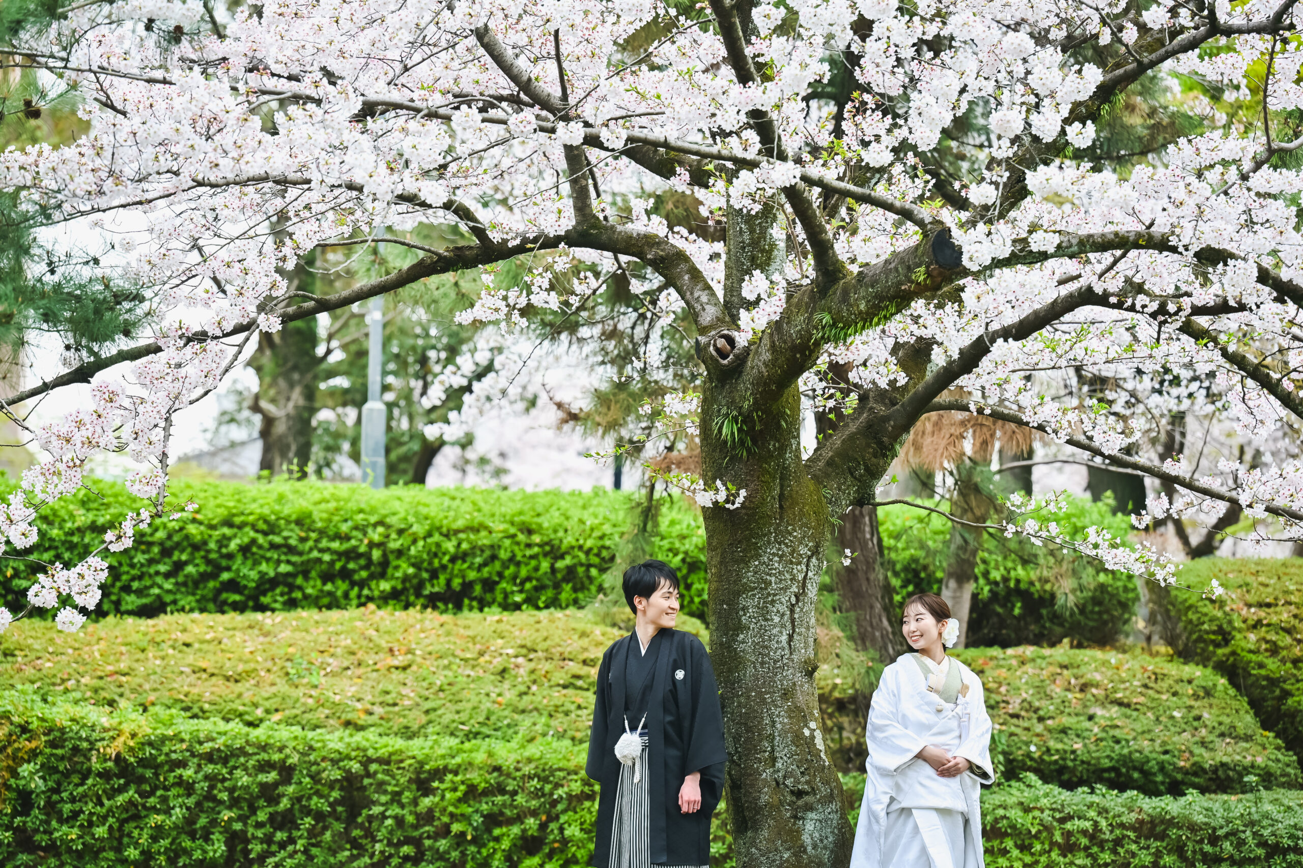 中村公園記念館の唐破風の玄関を背景にした和装前撮り写真
