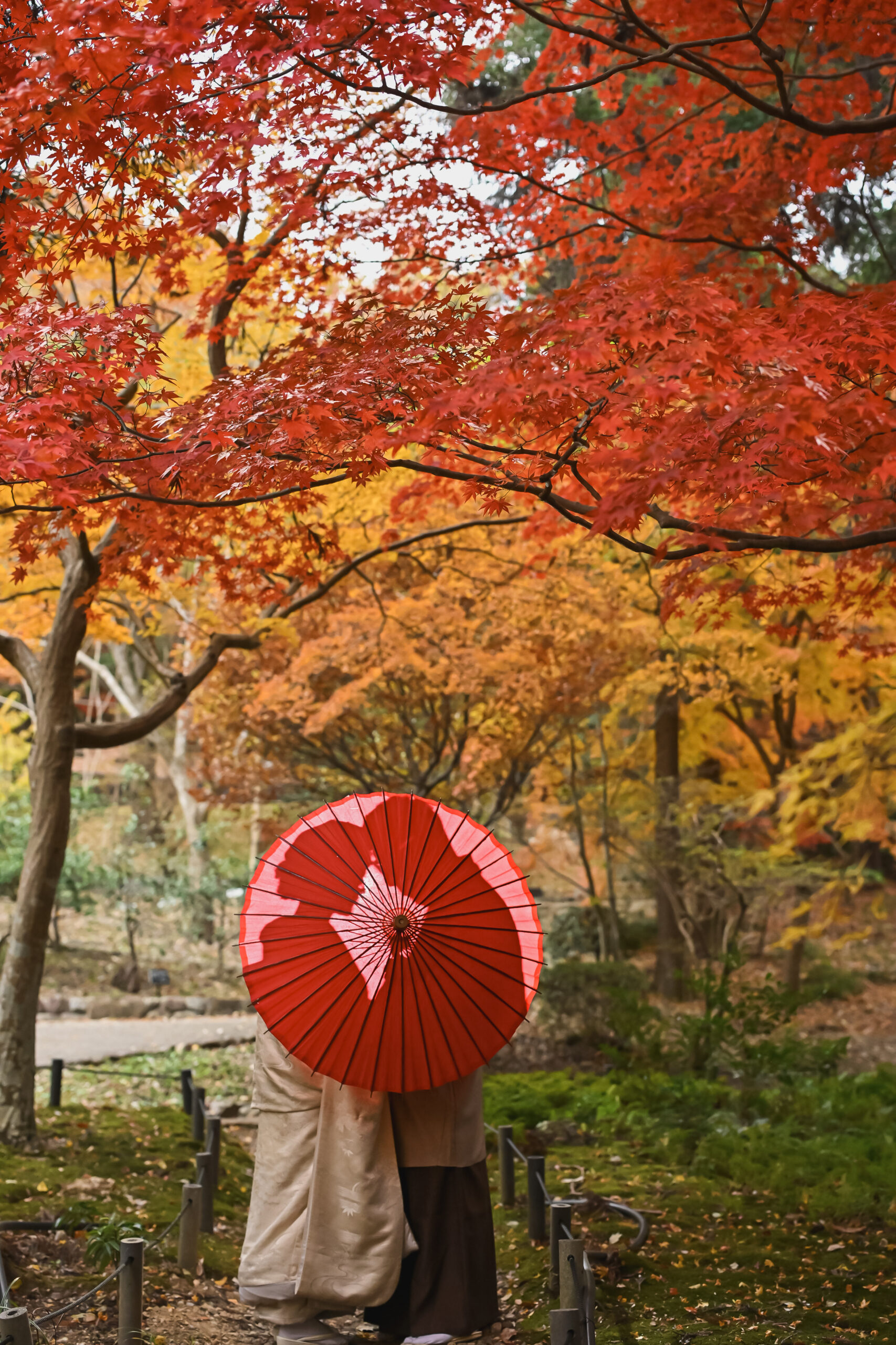 東山植物園の紅葉の散策路を歩く和装姿のカップル