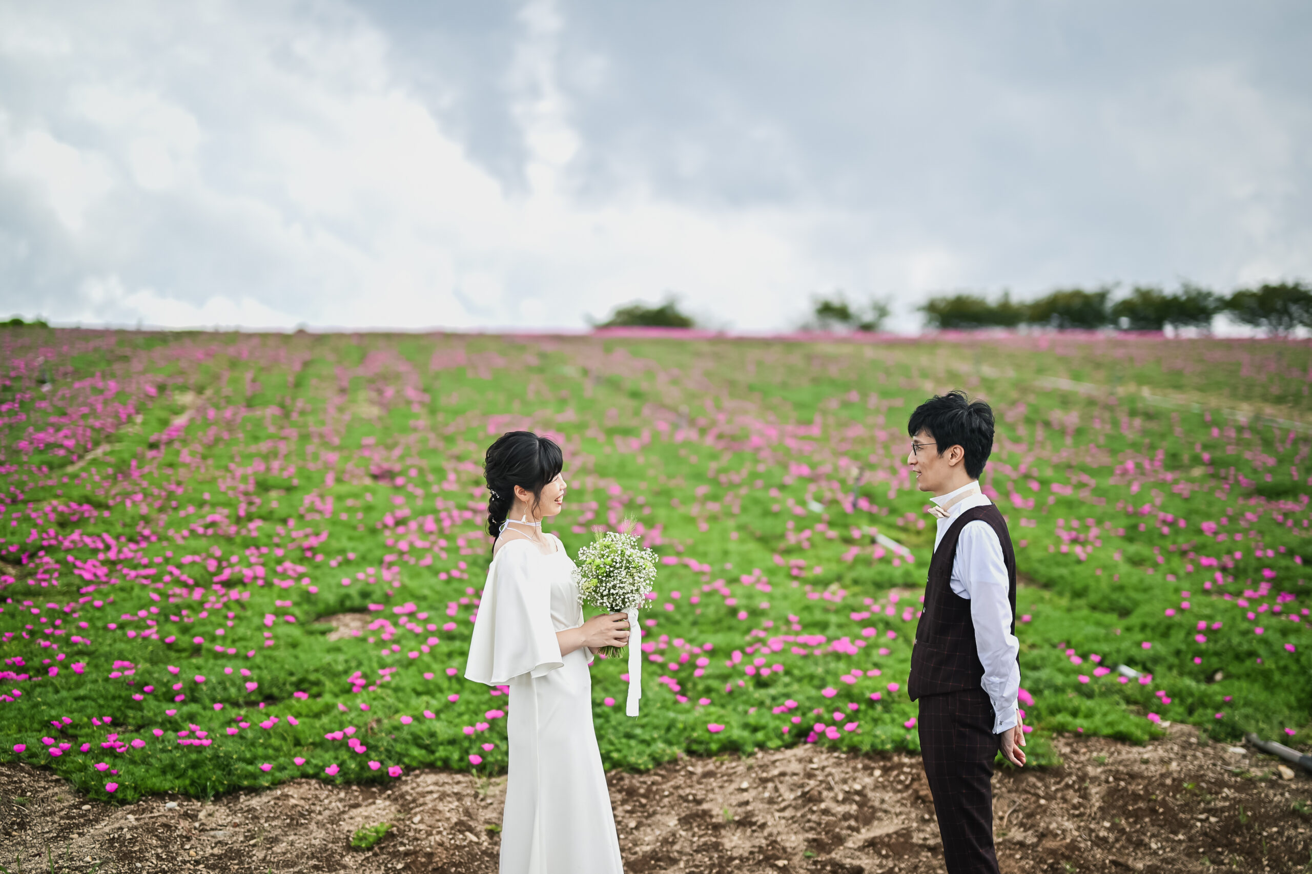 花ひろばのお花畑
