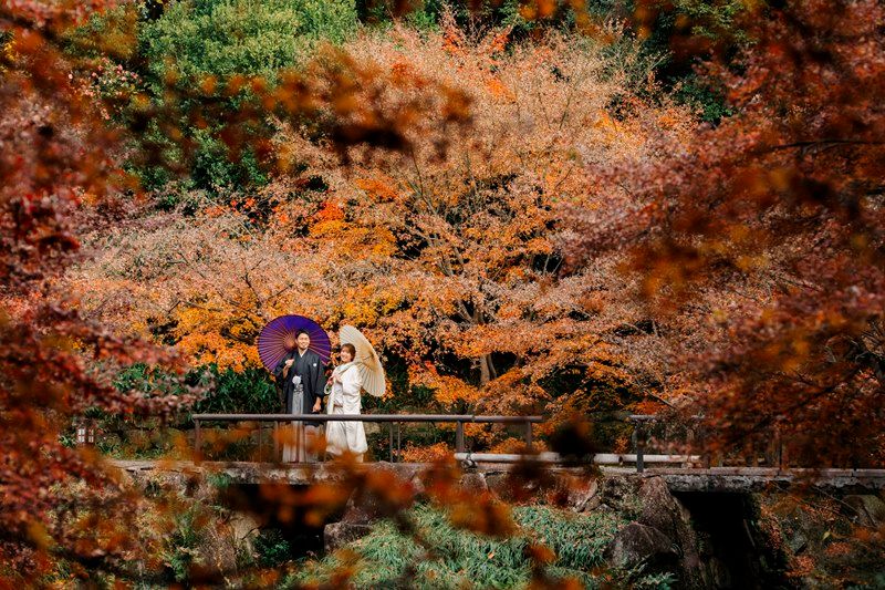徳川園の秋・虎仙橋からの紅葉