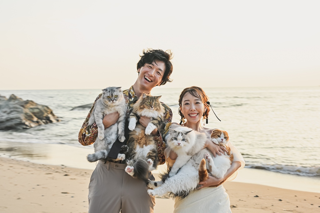 猫ちゃんと過ごす柔らかい雰囲気の写真