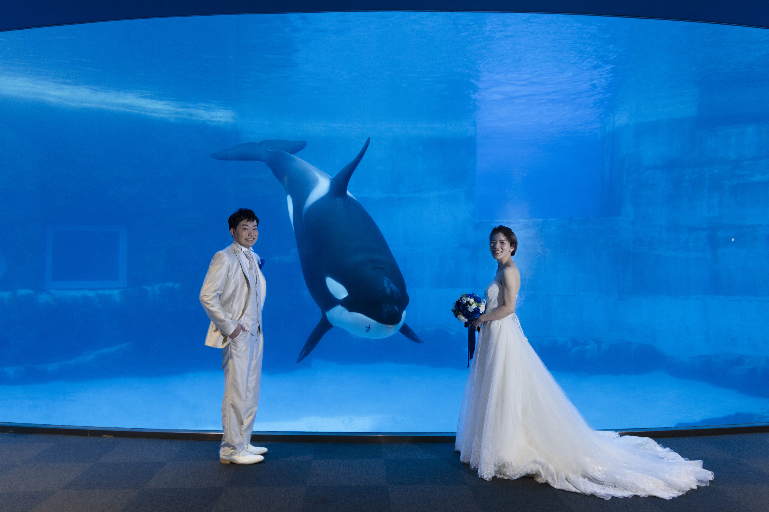 名古屋港水族館での撮影準備のイメージ