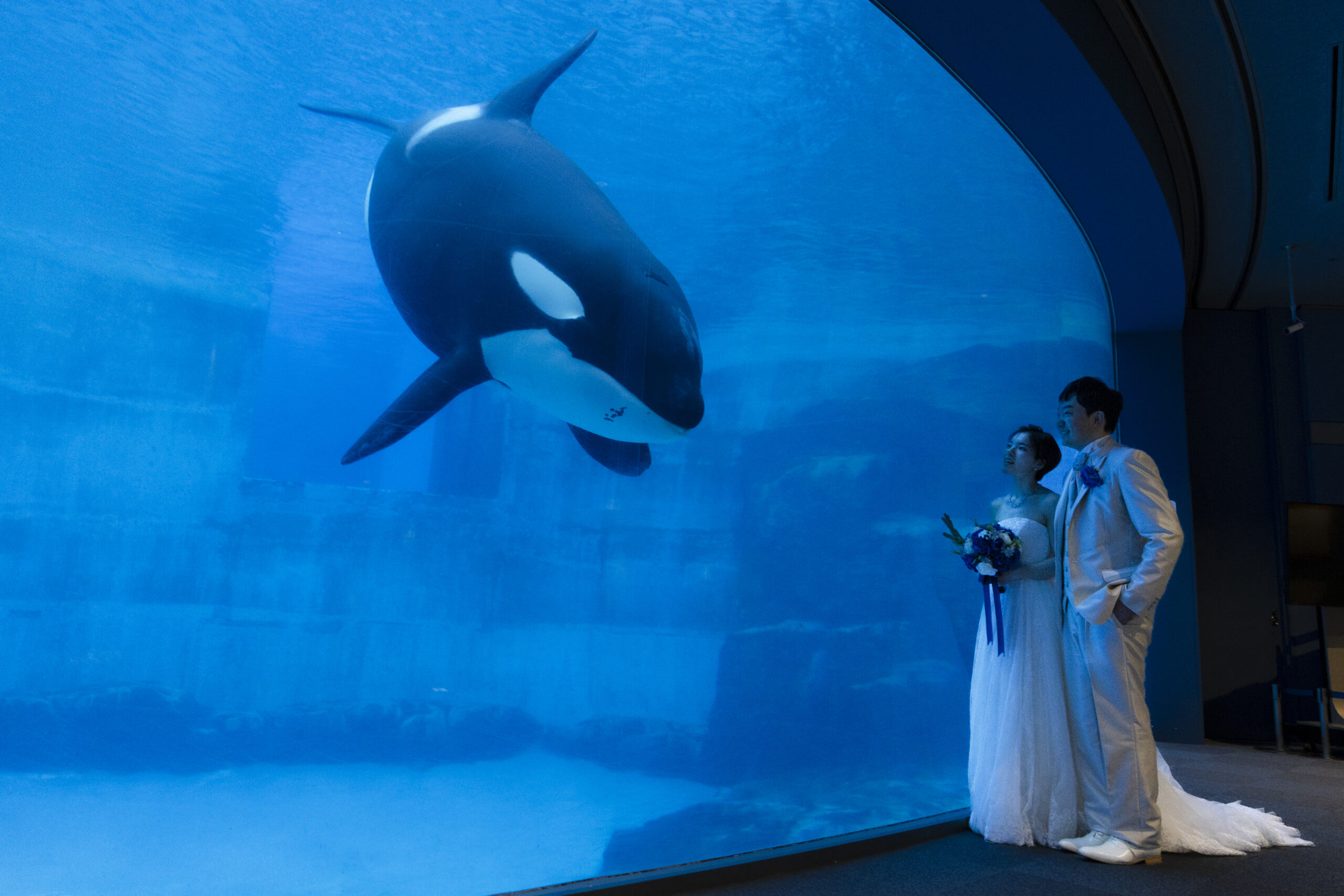 名古屋港水族館の巨大水槽の前で見つめ合う洋装カップル