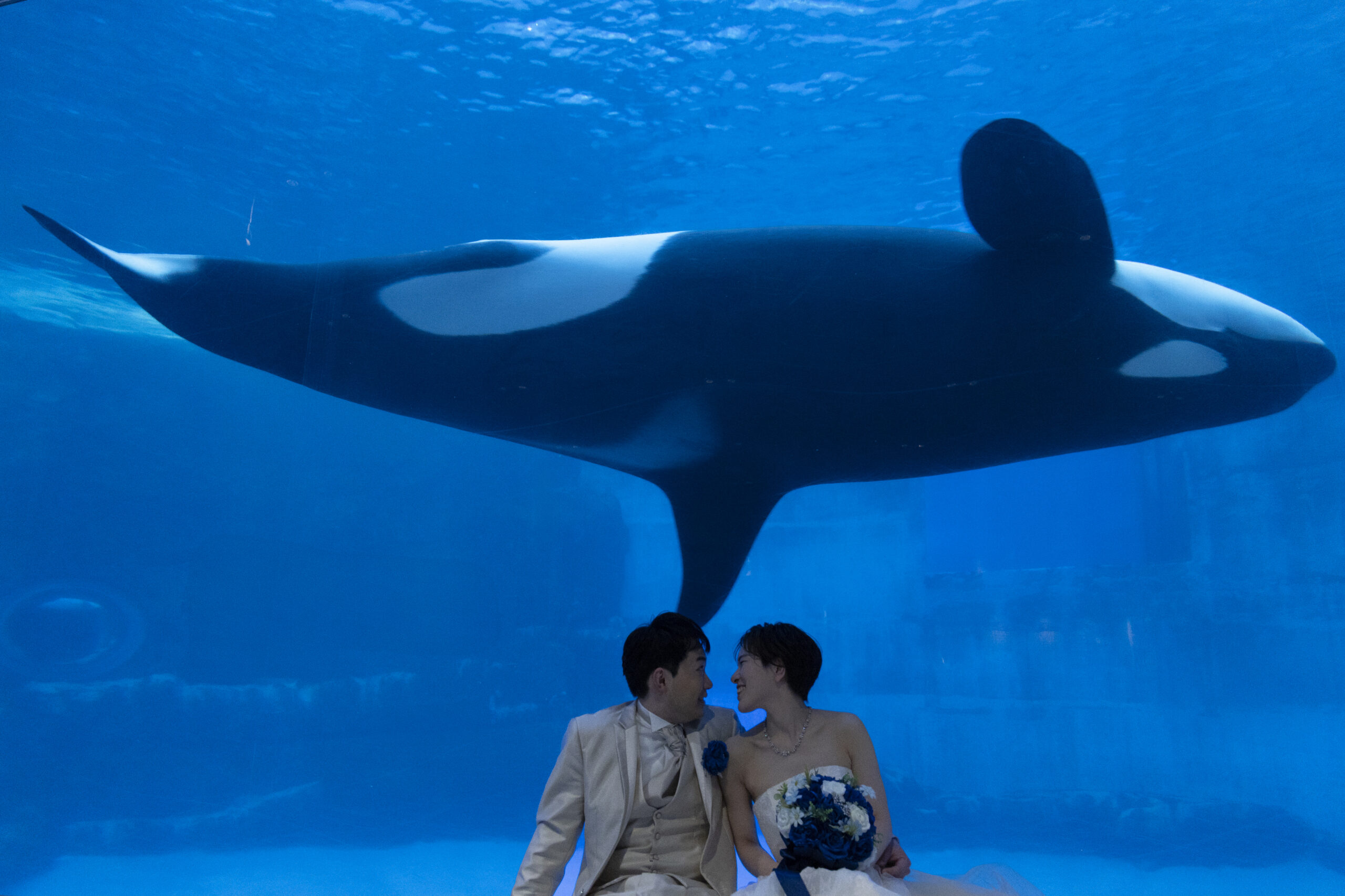 名古屋港水族館の幻想的な青い水槽の光景