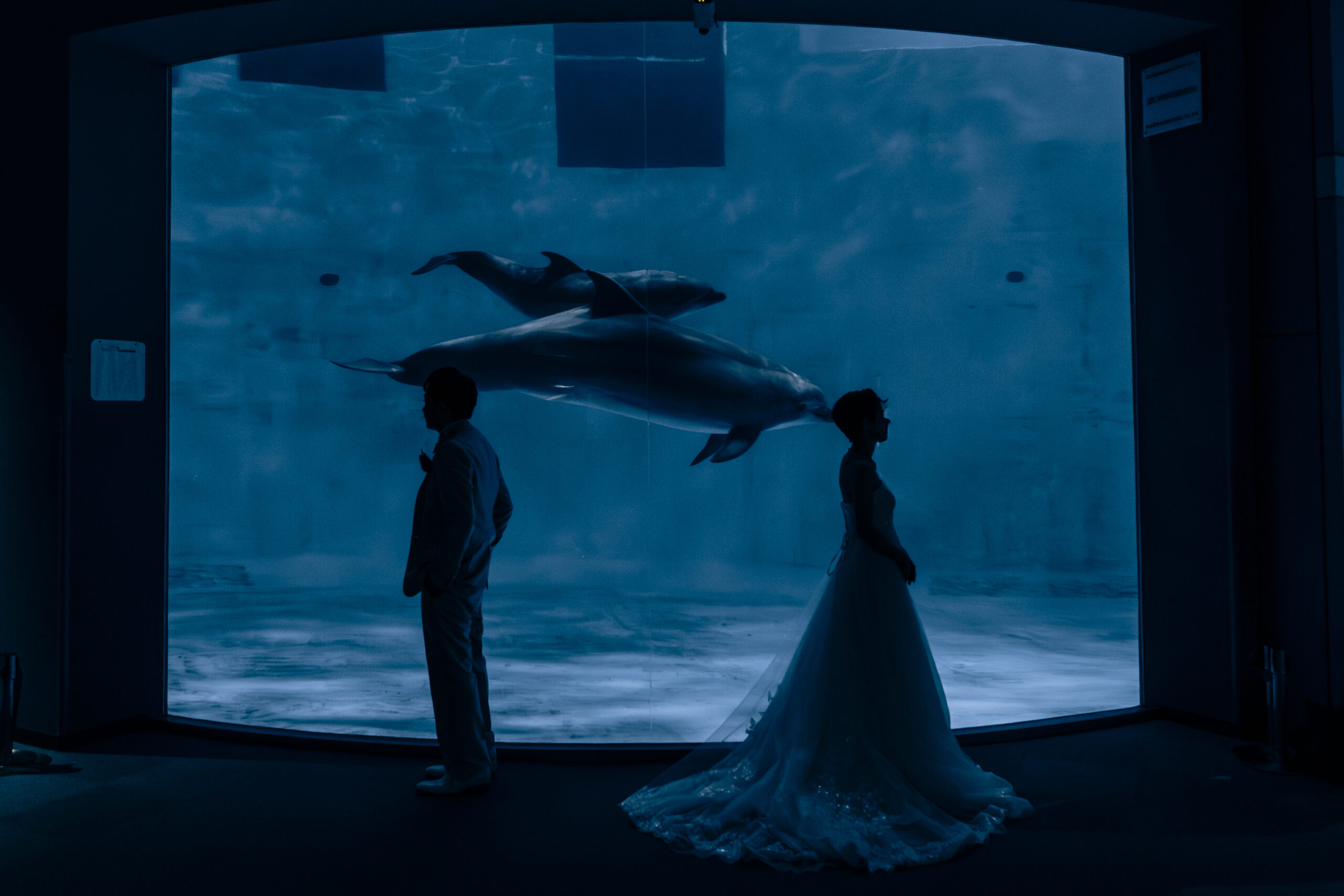 名古屋港水族館の前で笑顔で寄り添う洋装カップル