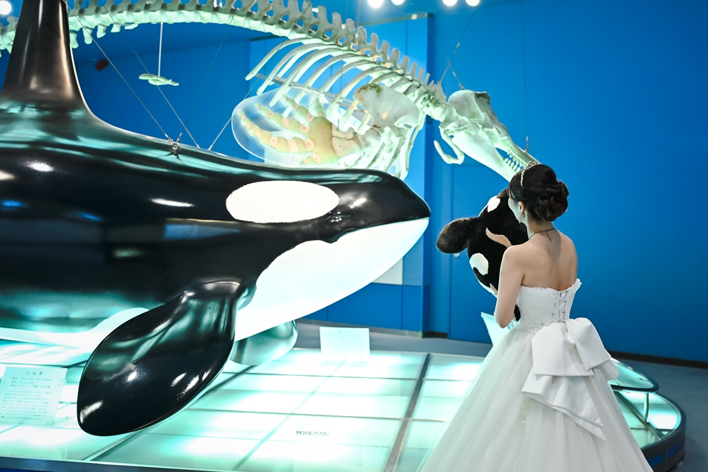 水族館の青い水槽の光を受けて幻想的に輝くウェディングドレスの花嫁