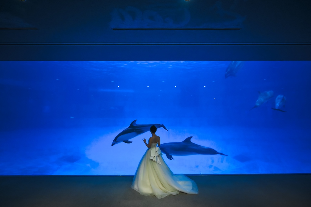 水族館の青い光の中で輝くカラードレス姿の花嫁