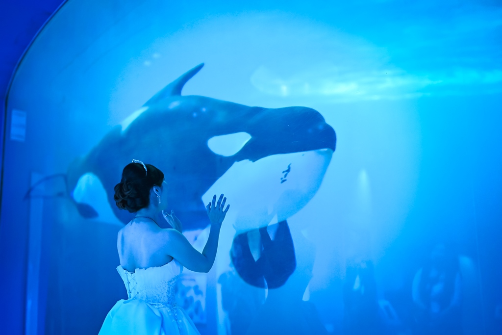 名古屋港水族館の前で笑顔で寄り添う洋装カップル