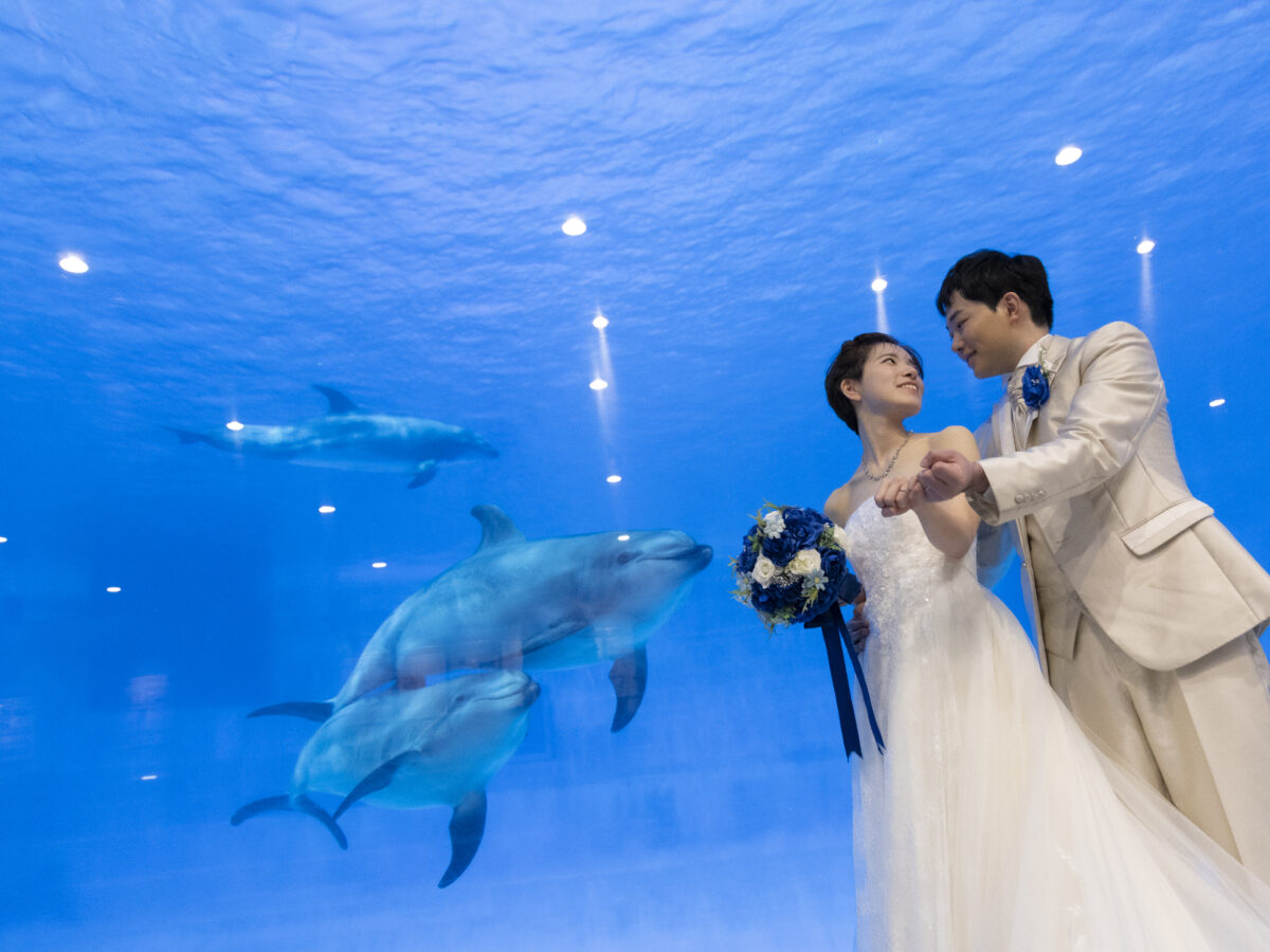 名古屋港水族館のイルカプールを背景にした洋装カップル