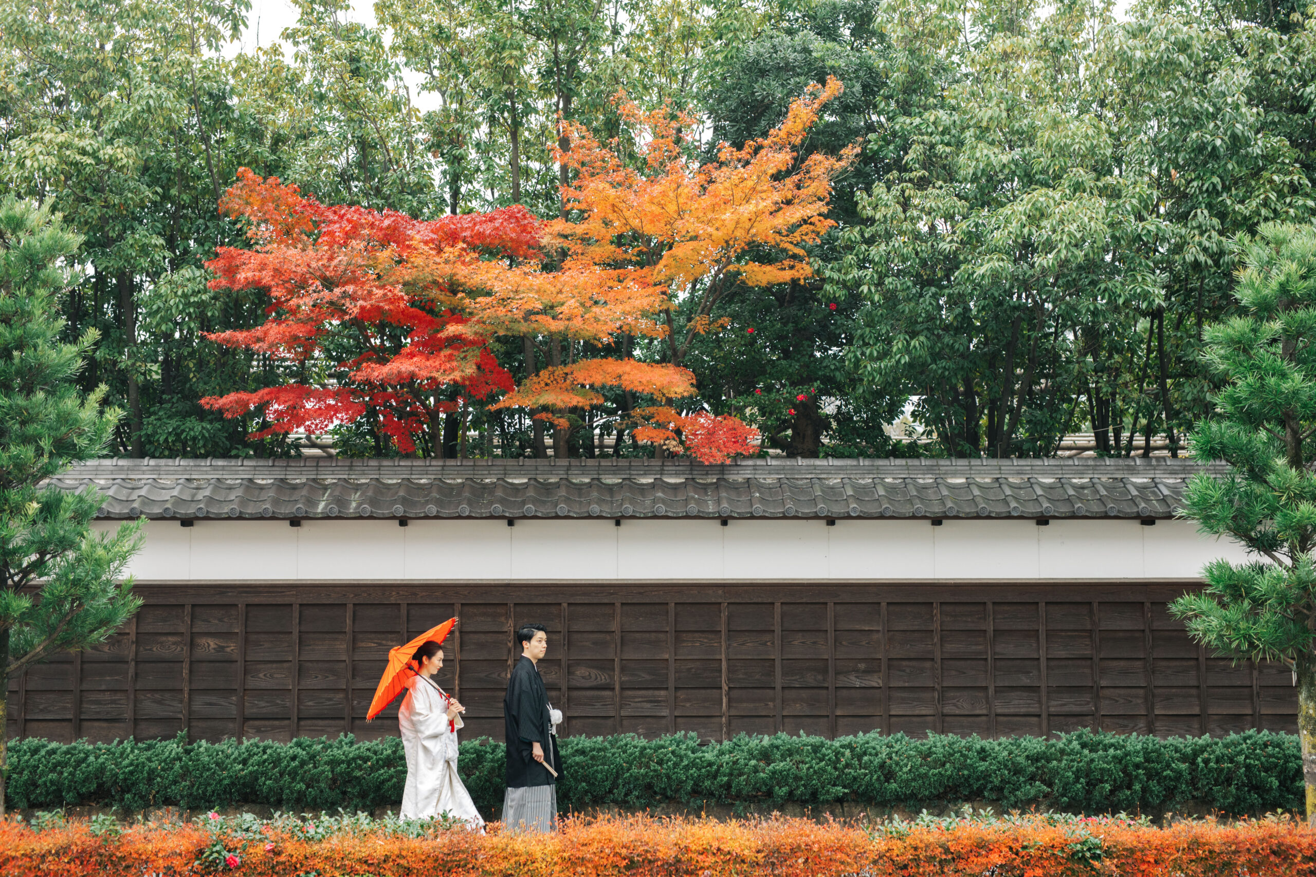 紅葉に囲まれたロケーションで和装撮影をする新郎新婦