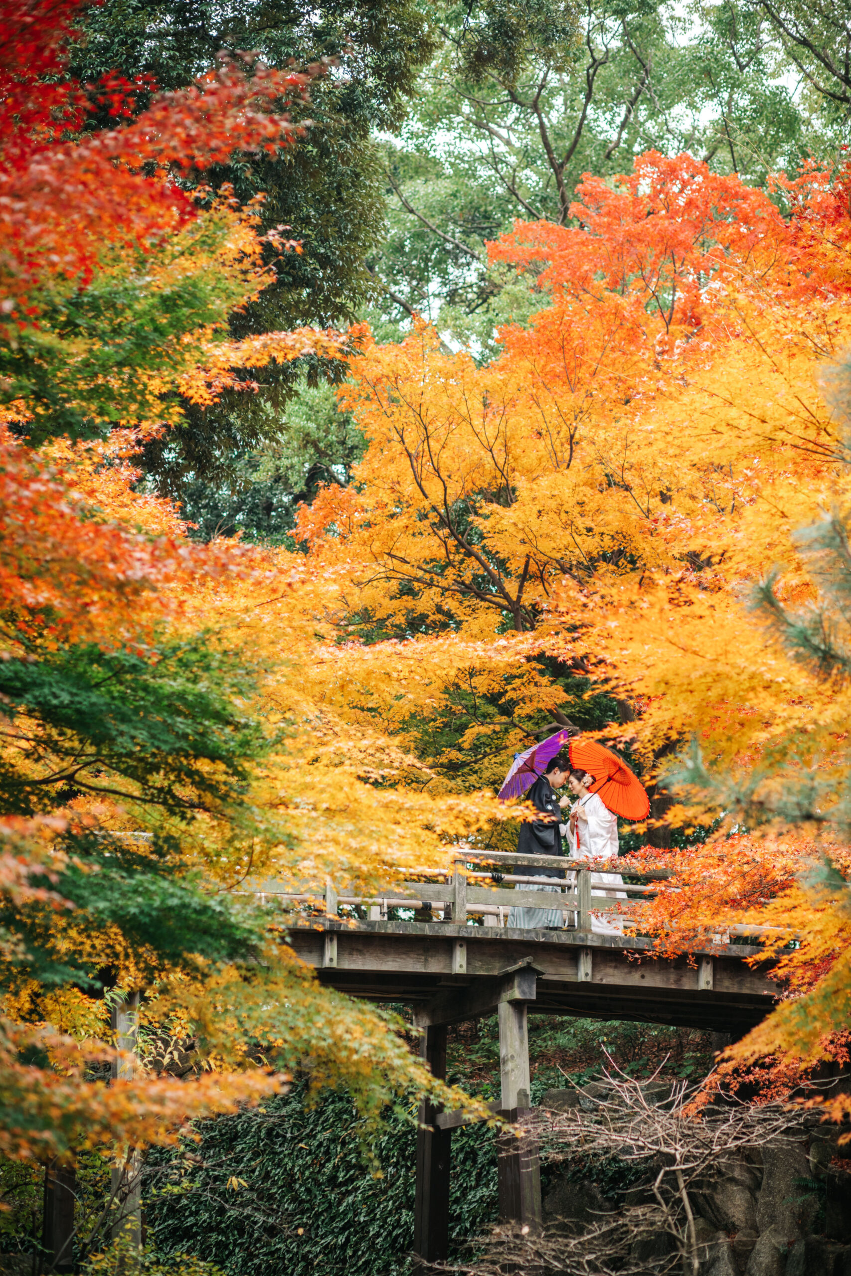 紅葉に囲まれたロケーションで和装撮影をする新郎新婦