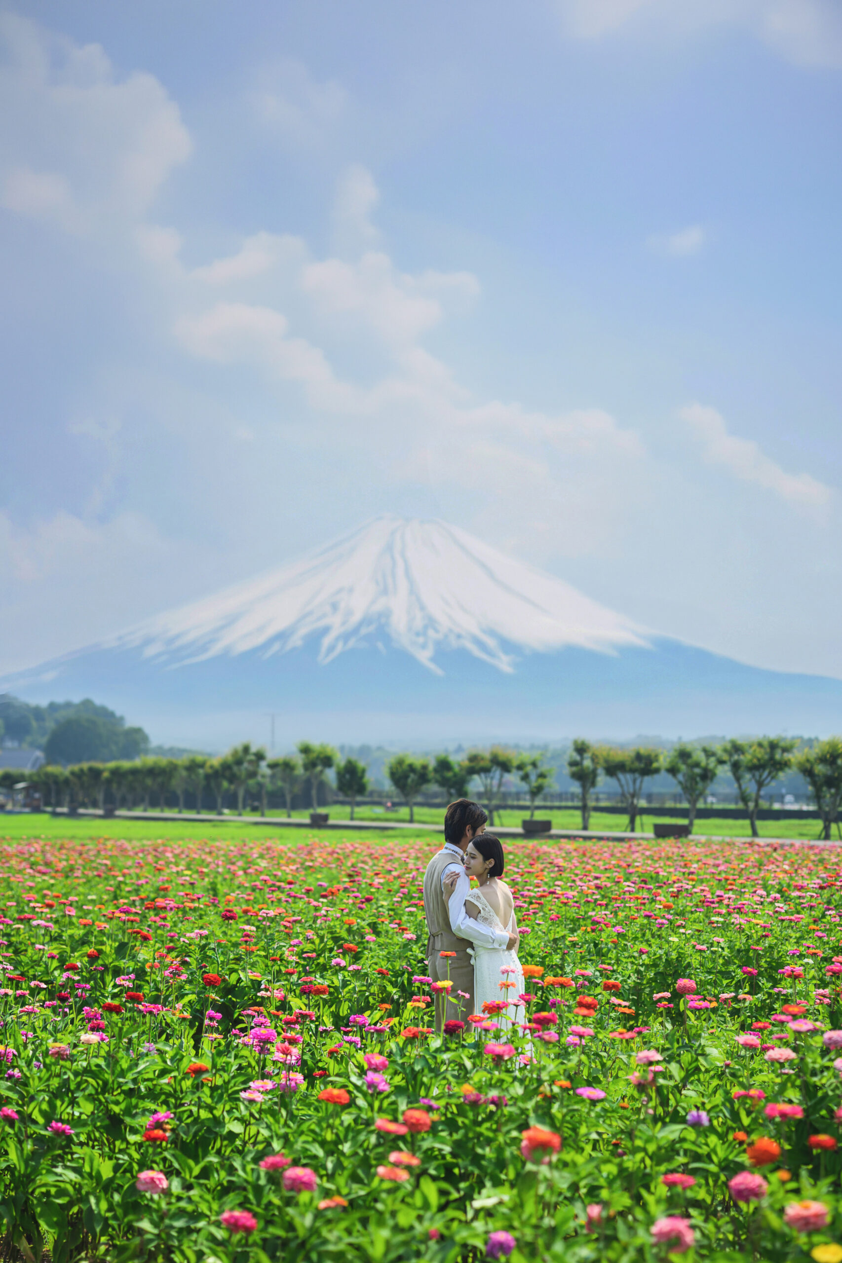 花畑と富士山を背景にした前撮り写真