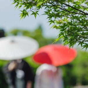 新緑のもみじを前ボケに、白と赤の和傘を差す新郎新婦をぼかしてとらえた一枚。名古屋のスタジオで撮る日本庭園で撮る和装前撮りのイメージカット