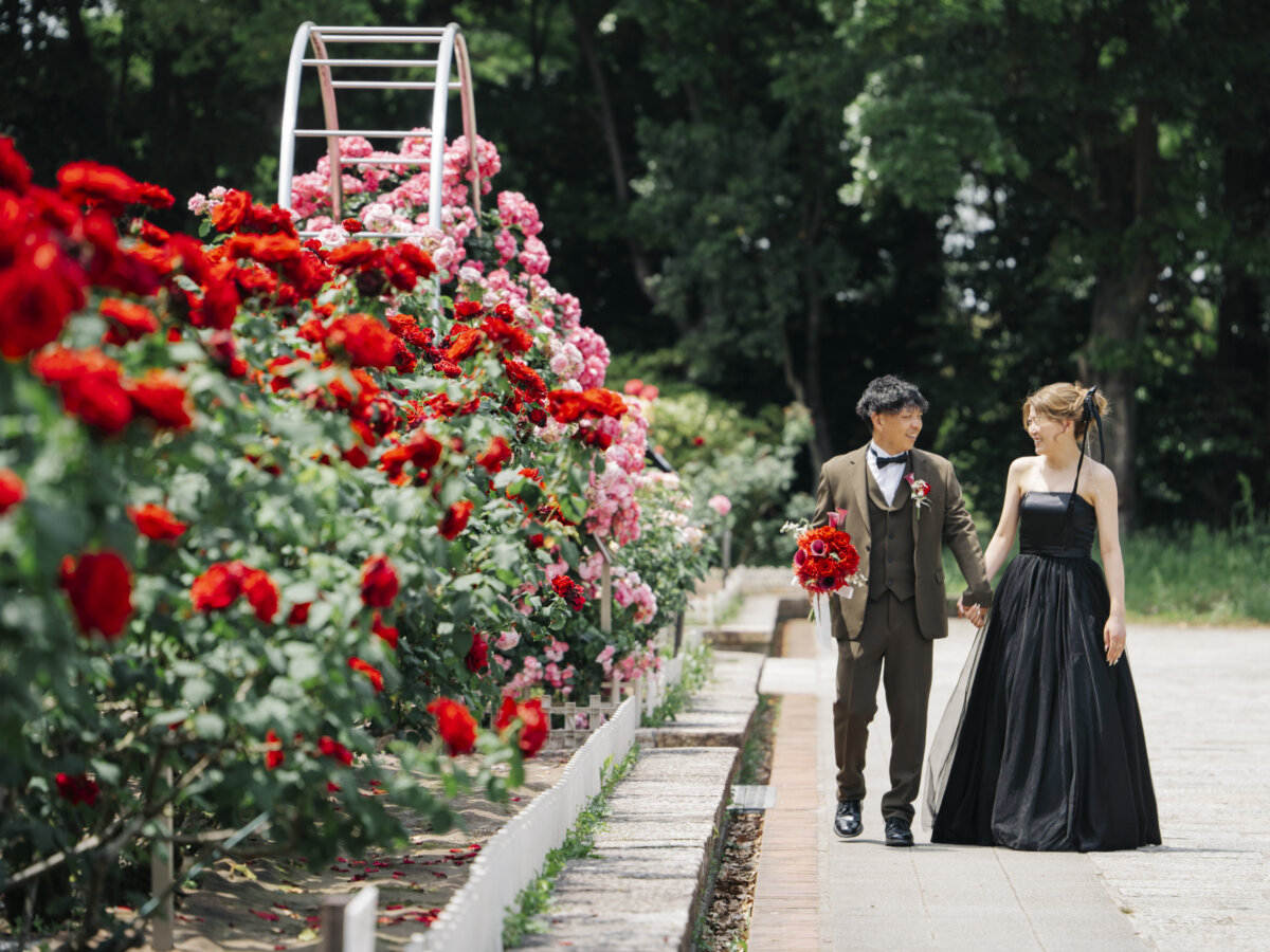 赤と白の薔薇が咲く花壇の小道を、手をつないで歩くオリーブのスーツの新郎と黒いドレスの花嫁。薔薇園で撮る洋装ロケーションフォト