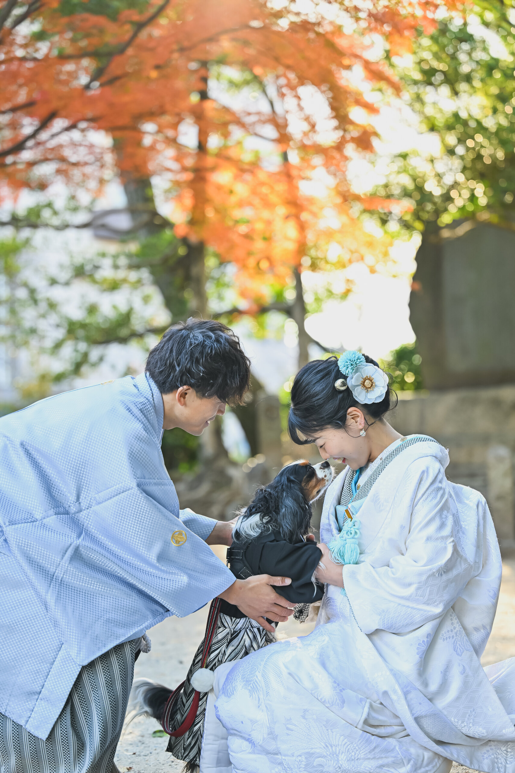 お揃いの着物姿の愛犬と和装の新郎新婦の写真