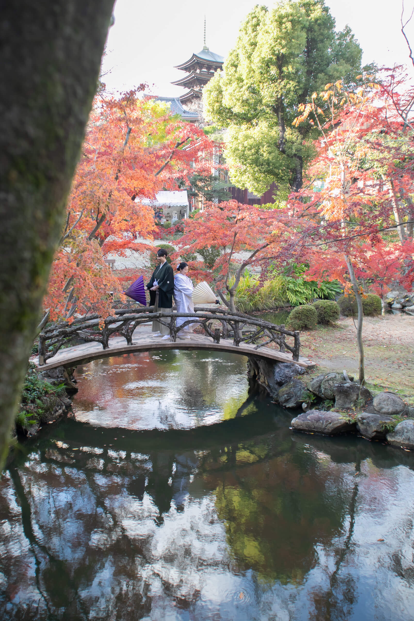 揚輝荘の鳥居と紅葉を背景にした撮影写真