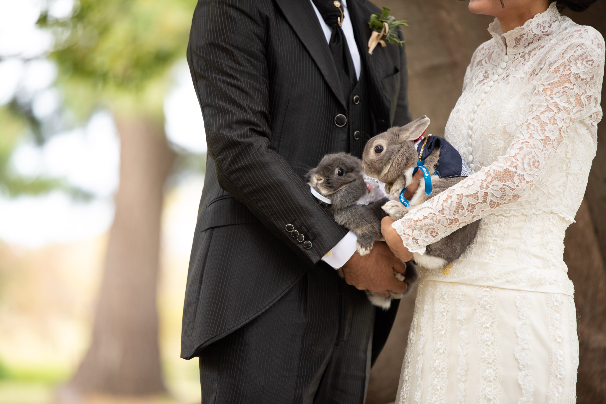 うさぎを抱いて微笑む新婦の写真